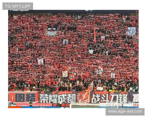 解读成都球市火爆出圈，对成都蓉城俱乐部意味着啥？