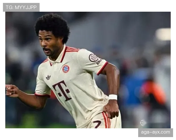 格纳布里助攻数据解析