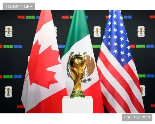 挪威冲击2026世界杯：赛程前景与出线形势分析